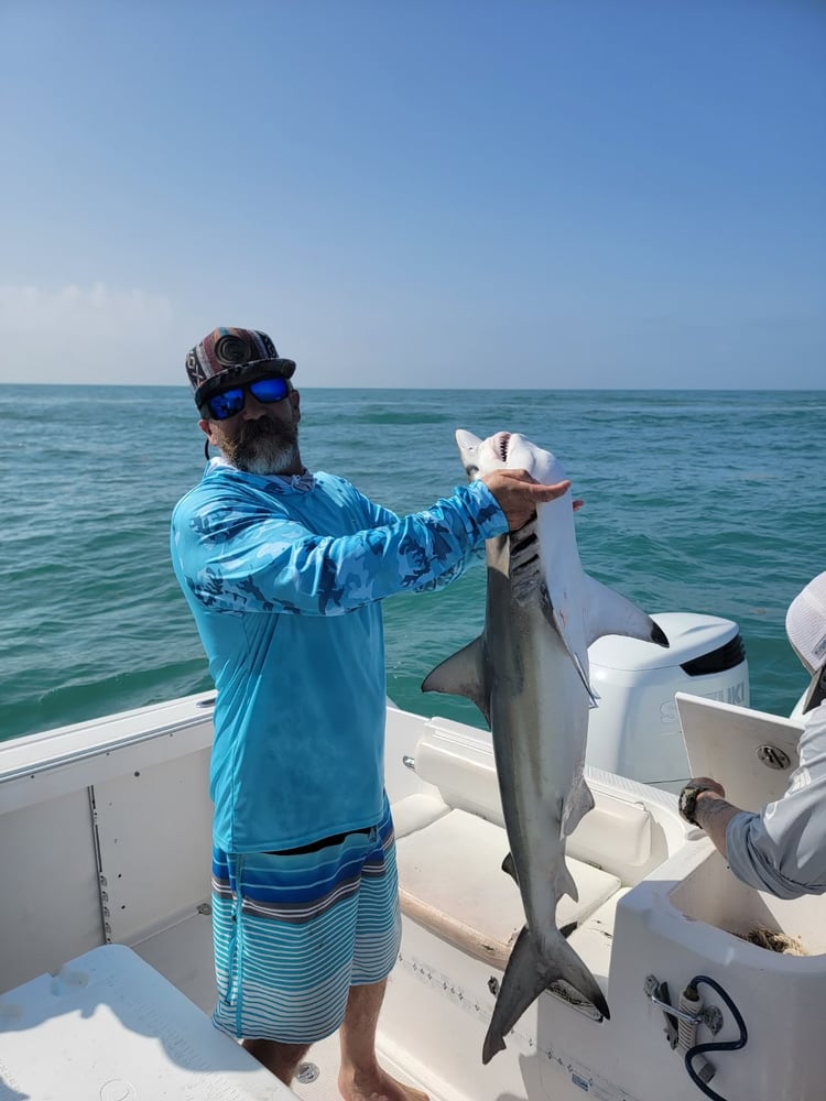 Bay/Jetty Fun! - 33' In Galveston