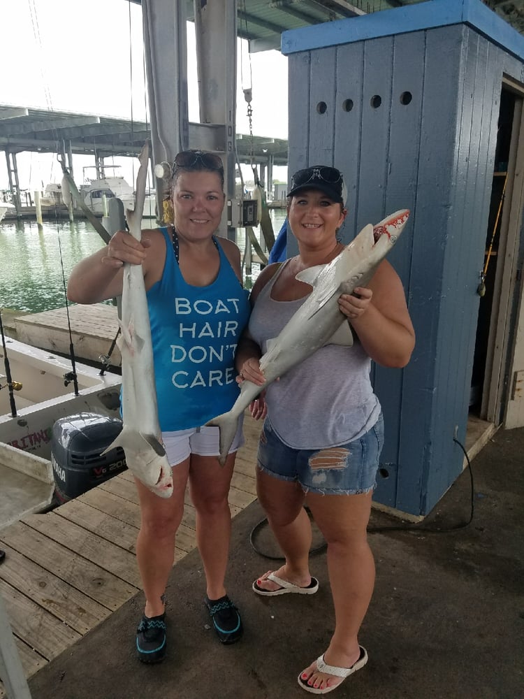 Galveston Shark Hunt!- 30' In Galveston