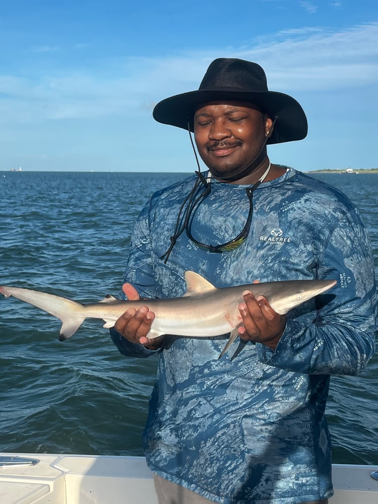 Galveston Shark Hunt!- 30' In Galveston