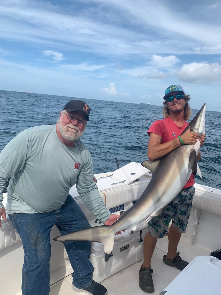 Galveston Shark Hunt!- 33' In Galveston