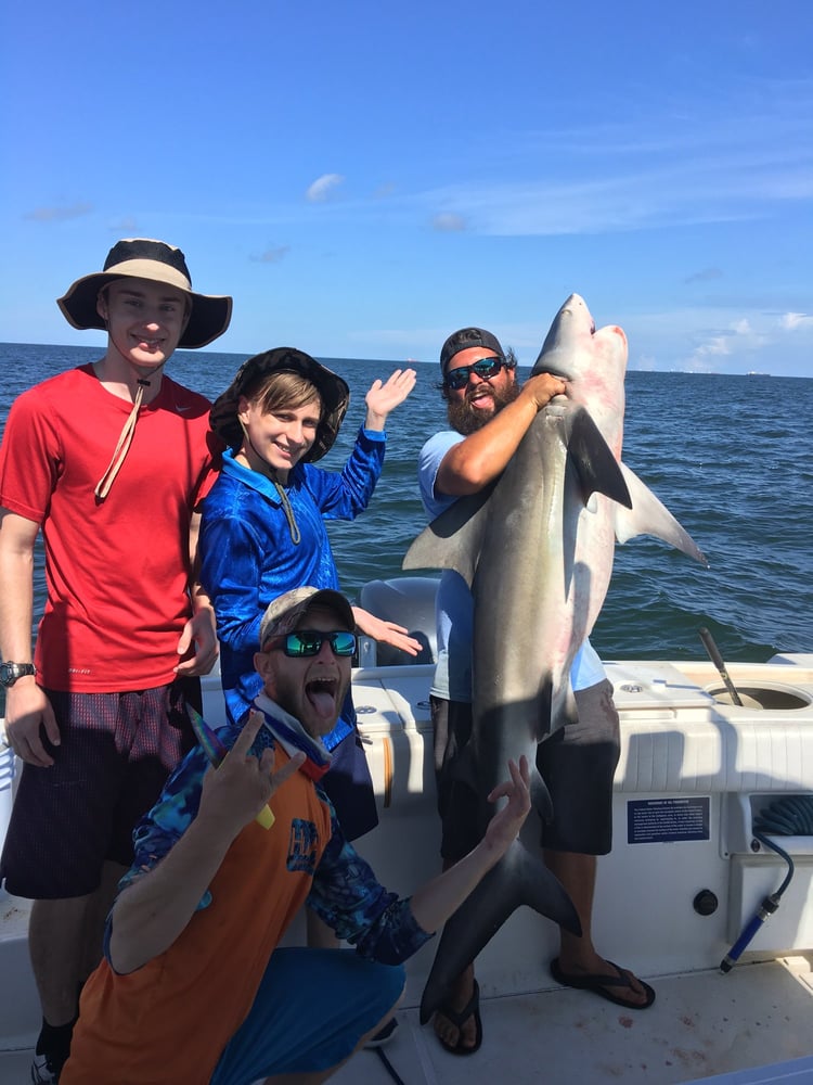 Galveston Shark Hunt!- 33' In Galveston