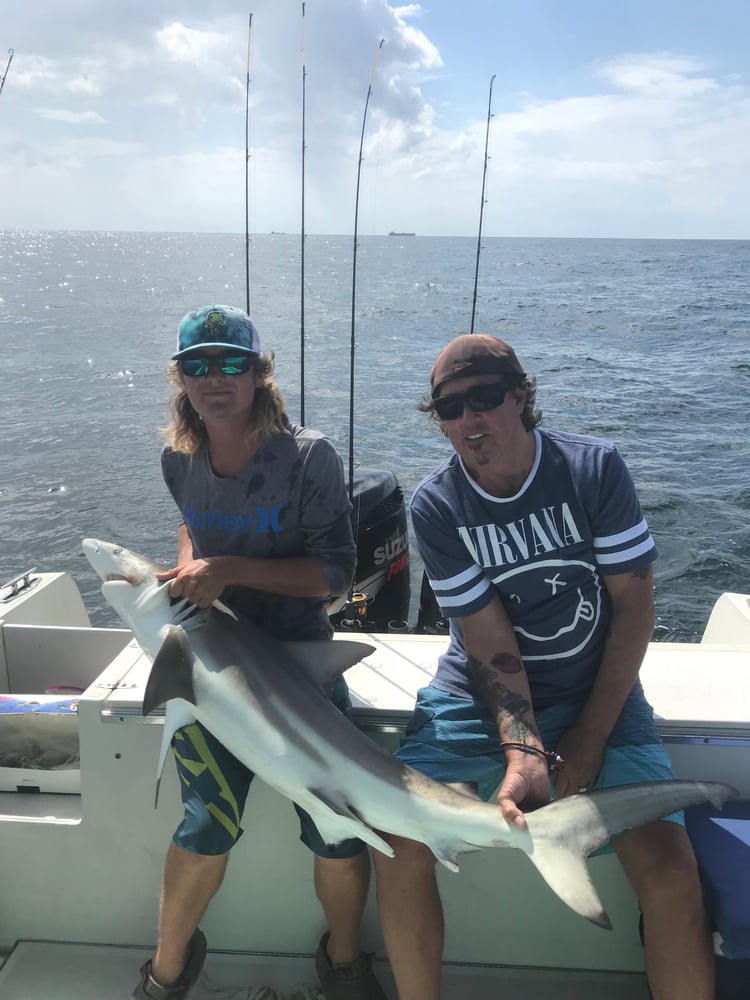 Galveston Shark Hunt!- 30' In Galveston