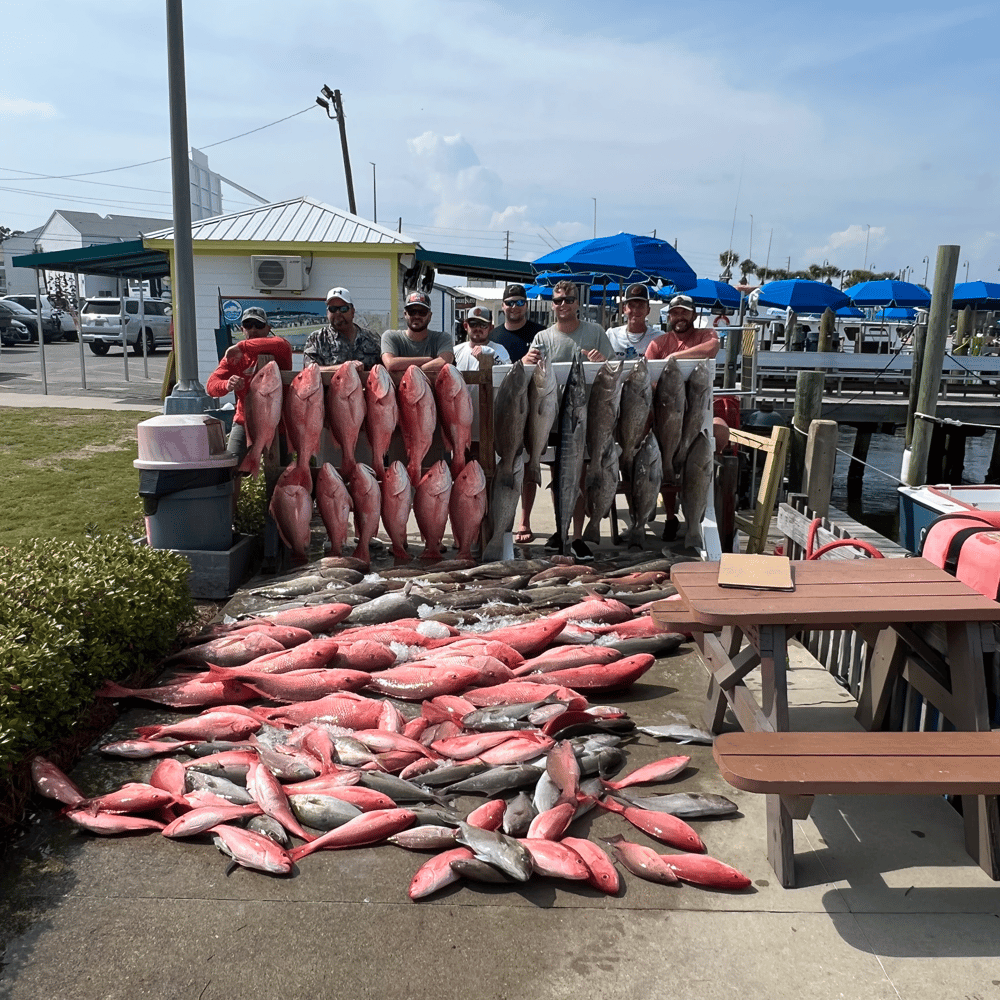 Bottom Fishing, Deep-sea, Fishing Trip In Panama City Beach