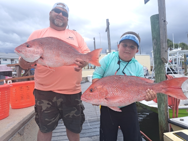 Bottom Fishing, Deep-sea, Fishing Trip In Panama City Beach