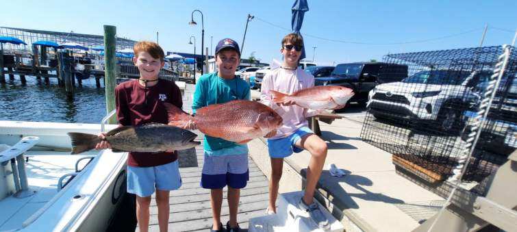 Bottom Fishing, Deep-sea, Fishing Trip In Panama City Beach