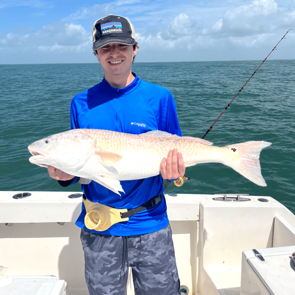 Bay/Jetty Fun! - 33' In Galveston