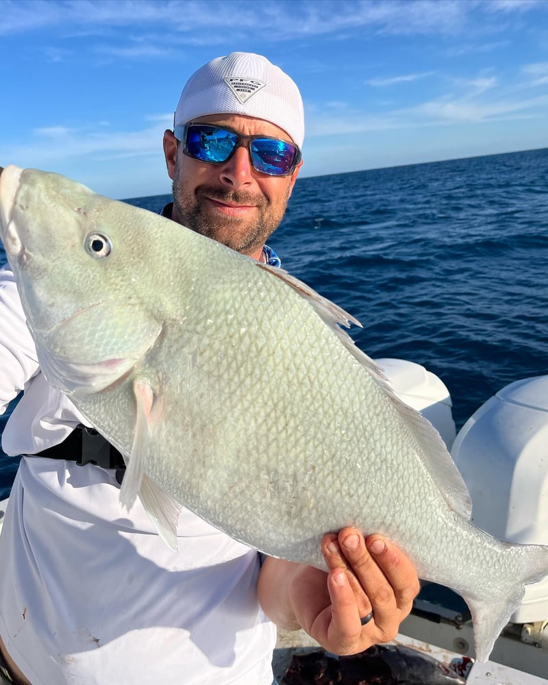 Unforgettable Florida Keys Fishing In Summerland Key