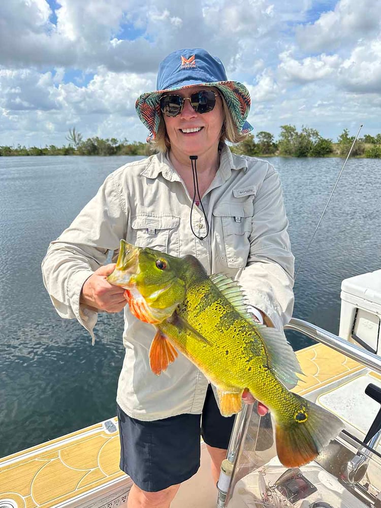 Peacock Bass + Iguana Cast & Blast In Miami