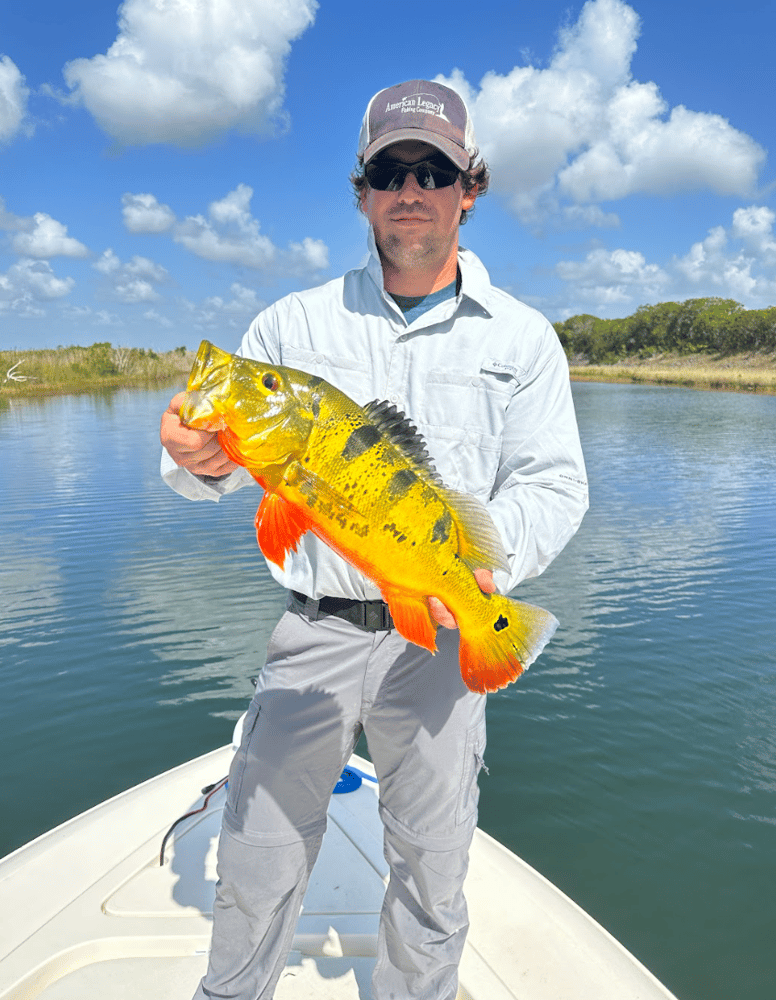 Peacock Bass + Iguana Cast & Blast In Miami