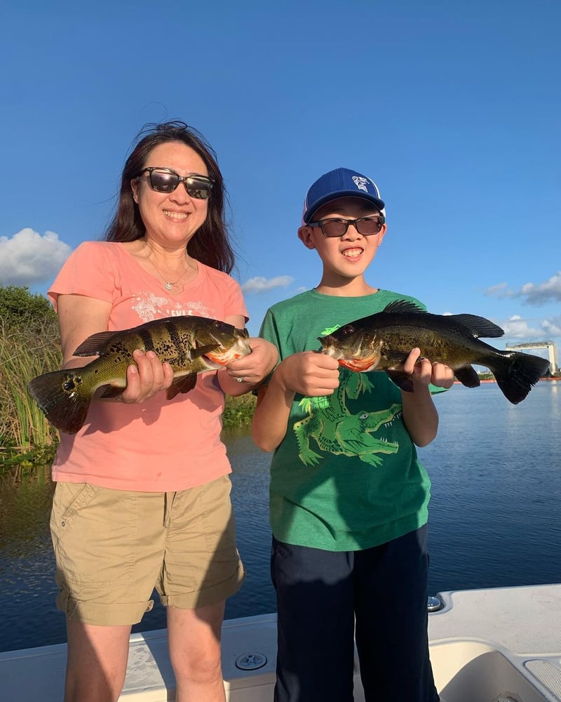 Peacock Bass + Iguana Cast & Blast In Miami