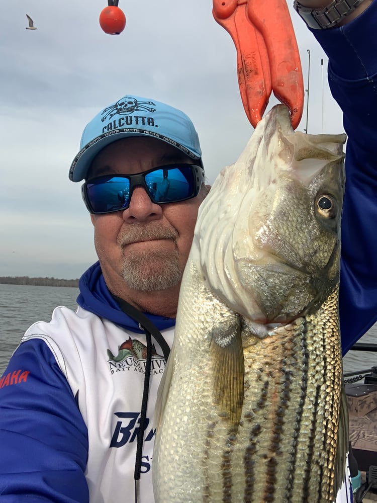 Cape Lookout Custom Charter In Morehead City