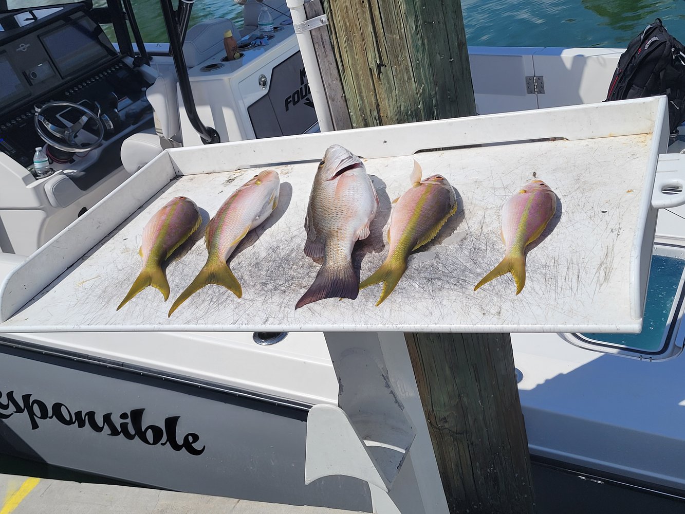 Offshore Trolling And Bottom Fishing In Marathon