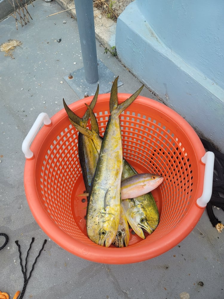 Florida Keys Reef And Wreck Fishing In Marathon