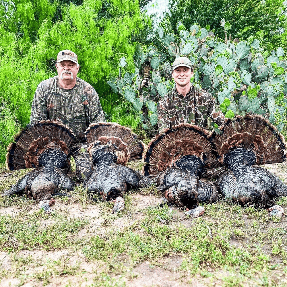 Rio Grande Turkey Hunt In Linn