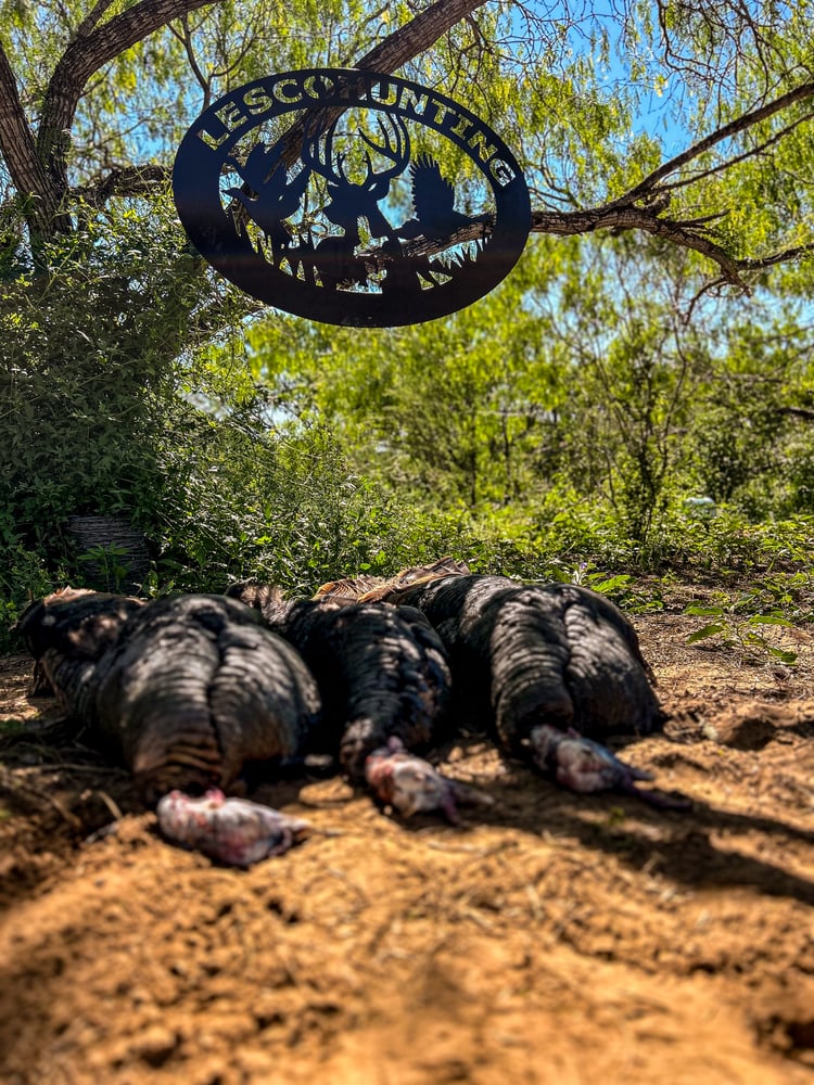 Rio Grande Turkey Hunt In Linn