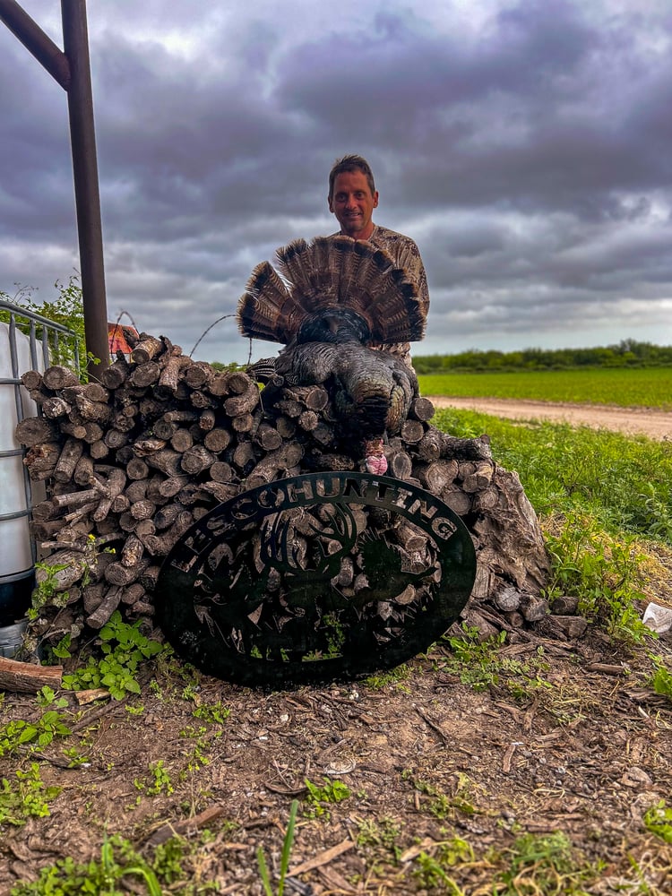 Rio Grande Turkey Hunt In Linn