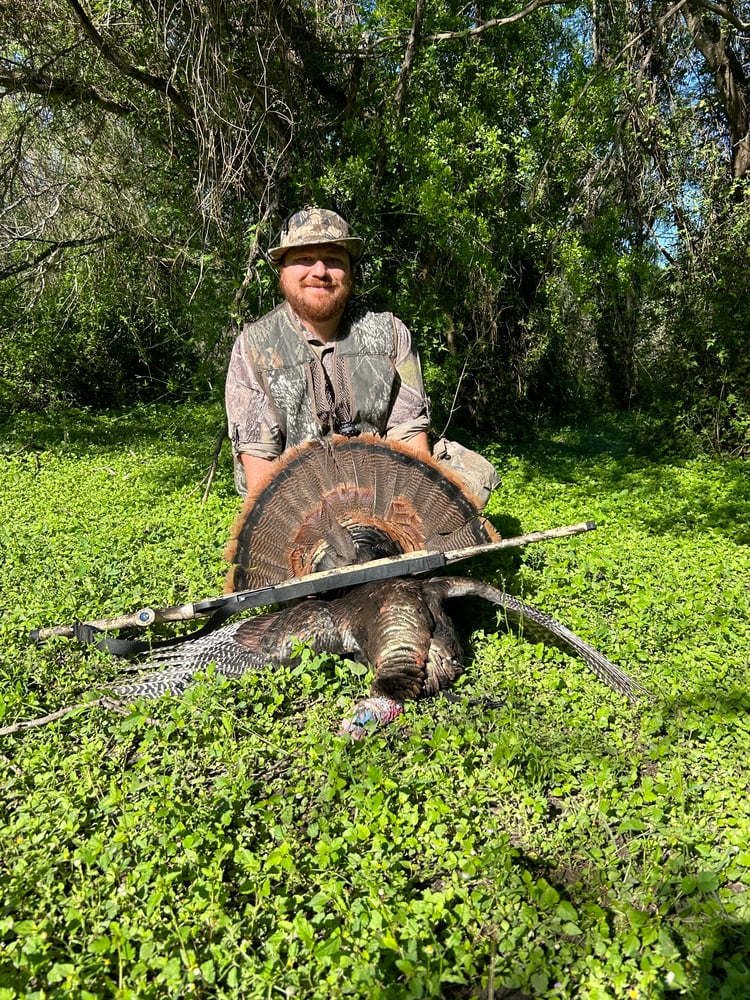 Rio Grande Turkey Hunt In Linn