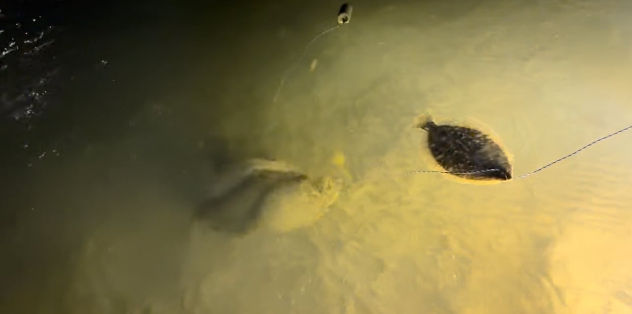 Flounder Gigging In Port Mansfield