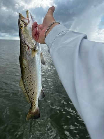 Bay Trip (Drifting Or Wading) In Corpus Christi