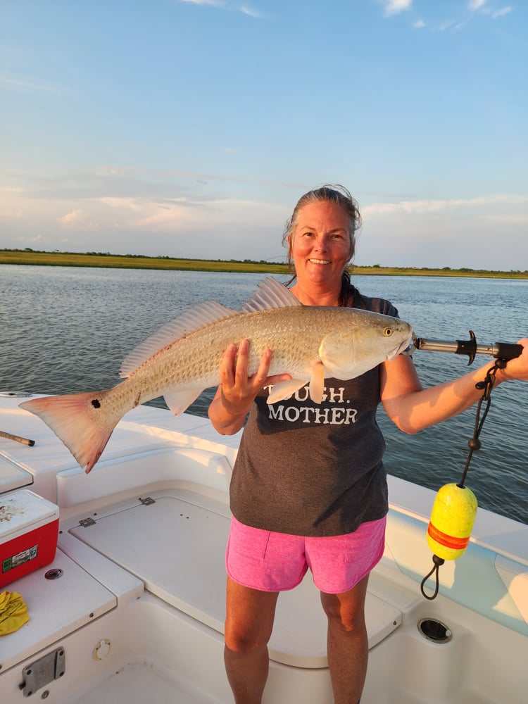 One Person 4Hr AM Jetty Fishing In Galveston