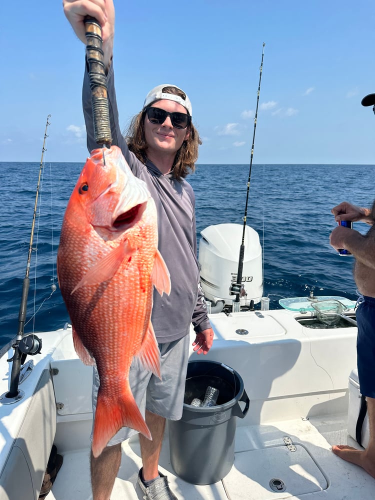 Bottom Fishing, Trolling Or Both - 31' In Destin