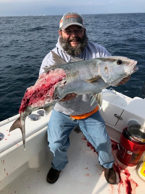 Bottom Fishing, Trolling Or Both - 31' In Destin