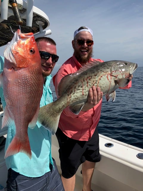 Bottom Fishing, Trolling Or Both - 31' In Destin