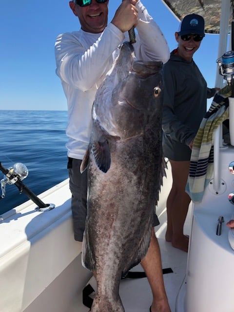 Bottom Fishing, Trolling Or Both - 31' In Destin