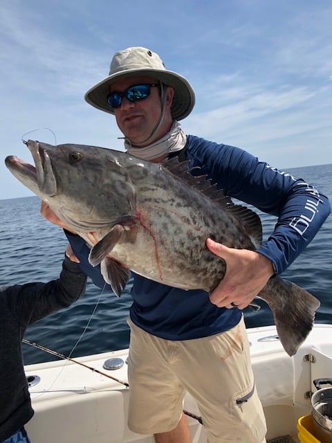 Bottom Fishing, Trolling Or Both - 31' In Destin