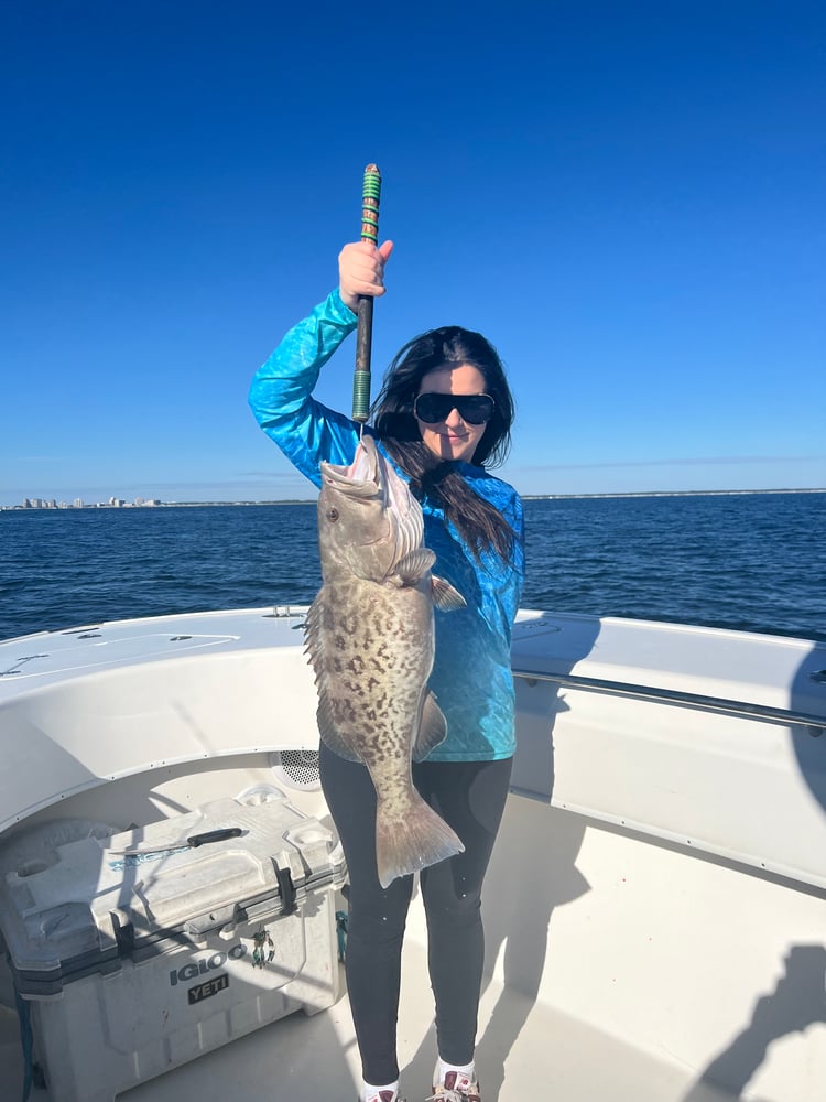 Bottom Fishing, Trolling Or Both - 31' In Destin