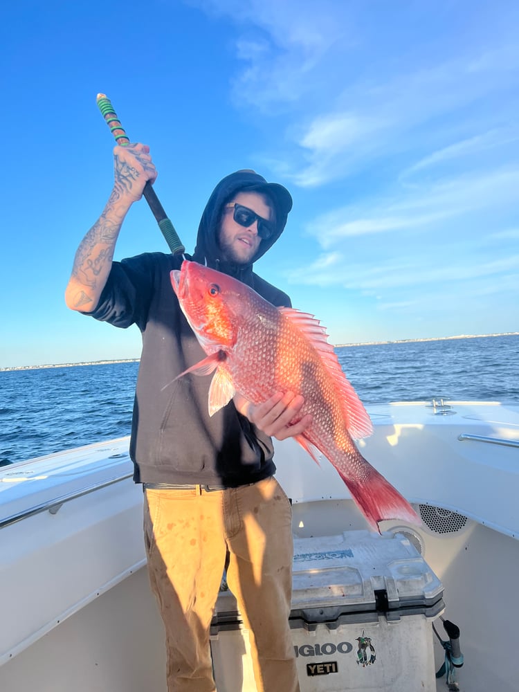 Bottom Fishing, Trolling Or Both - 31' In Destin