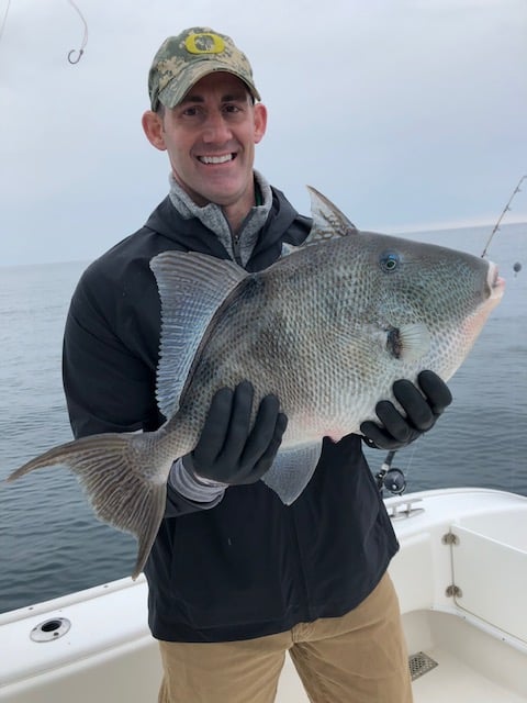 Bottom Fishing, Trolling Or Both - 31' In Destin