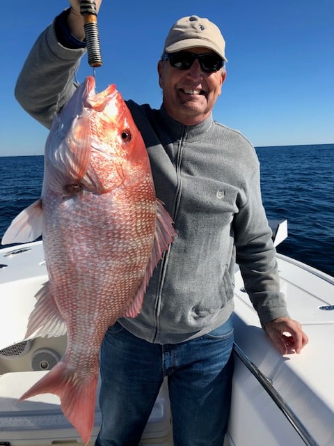 Bottom Fishing, Trolling Or Both - 31' In Destin