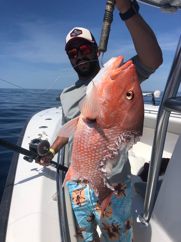 8 Hour Offshore Federal Boat In Destin