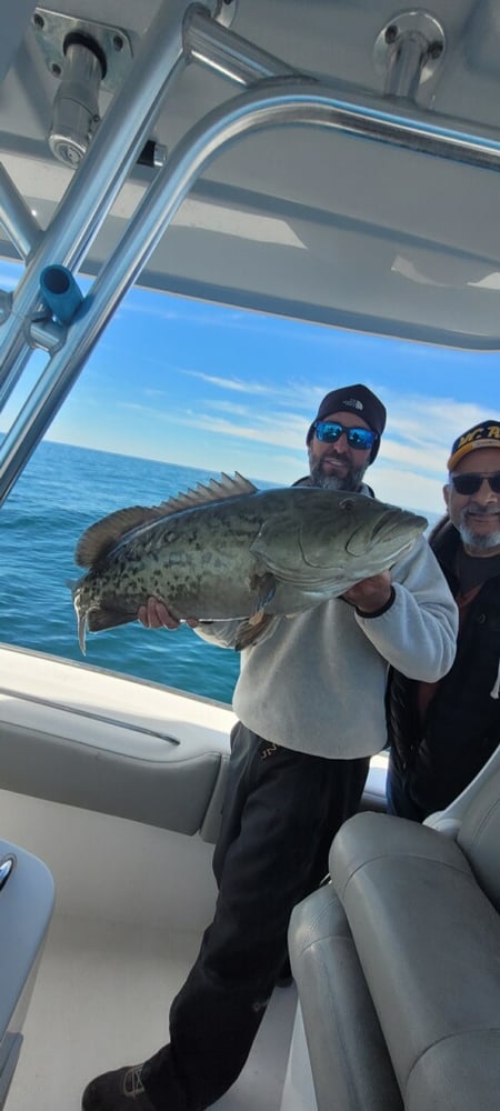 5 Hour Bottom Fishing Or Trolling -31 In Destin