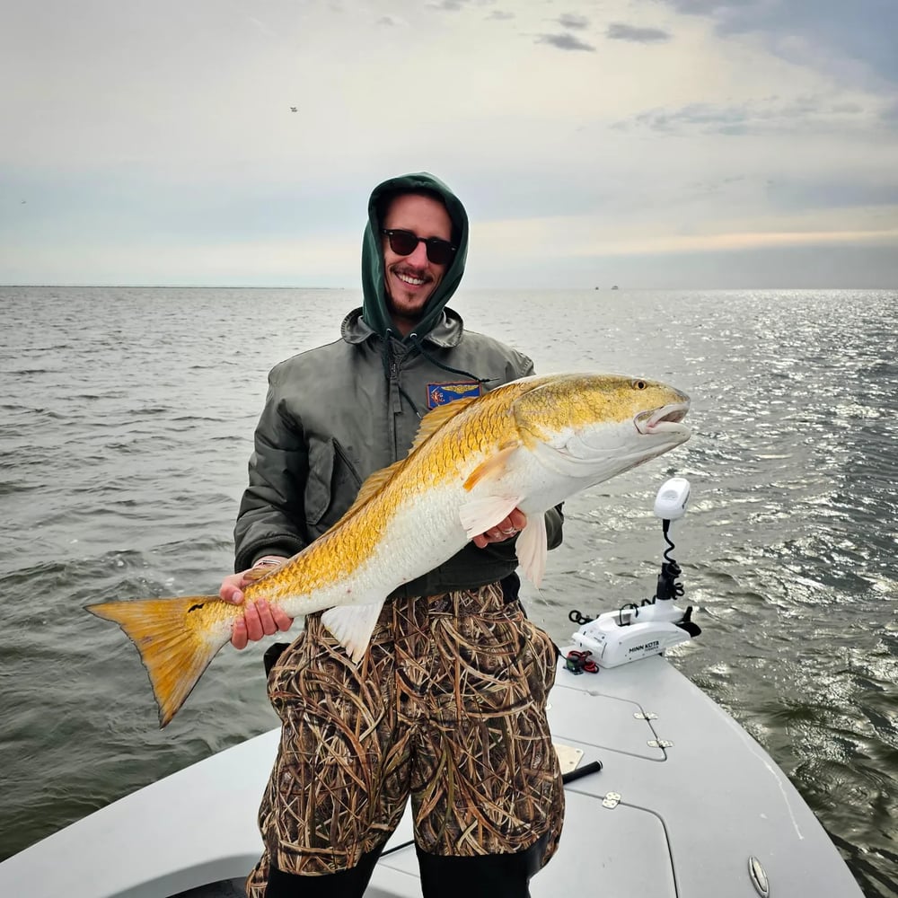 Sight Fishing For Redfish - Fly Or Spin In Saint Bernard