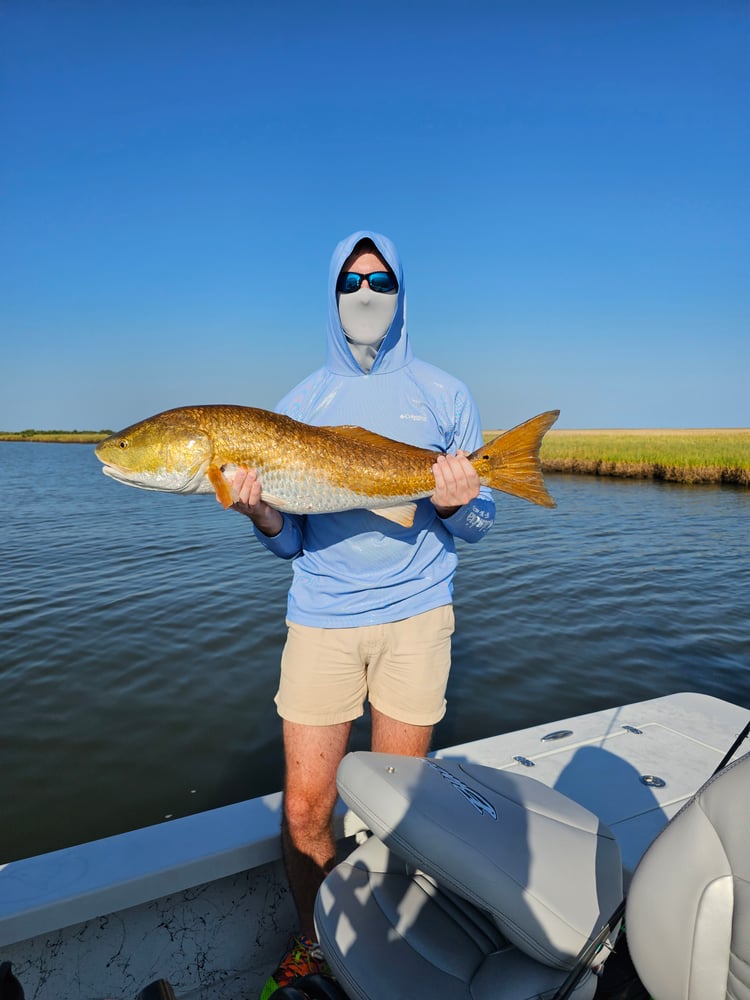 Sight Fishing For Redfish - Fly Or Spin In Saint Bernard