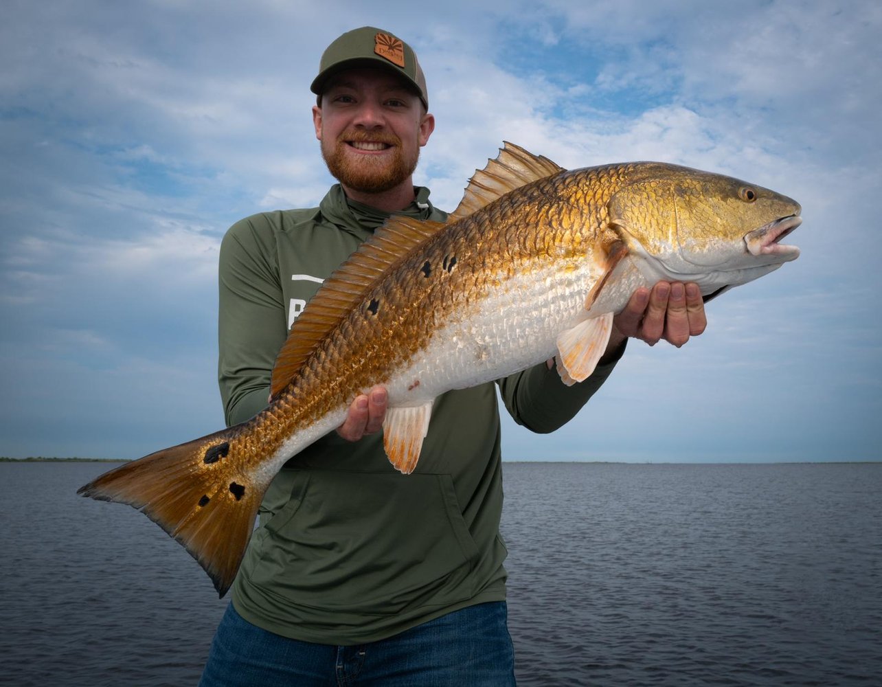 Sight Fishing For Redfish - Fly Or Spin In Saint Bernard