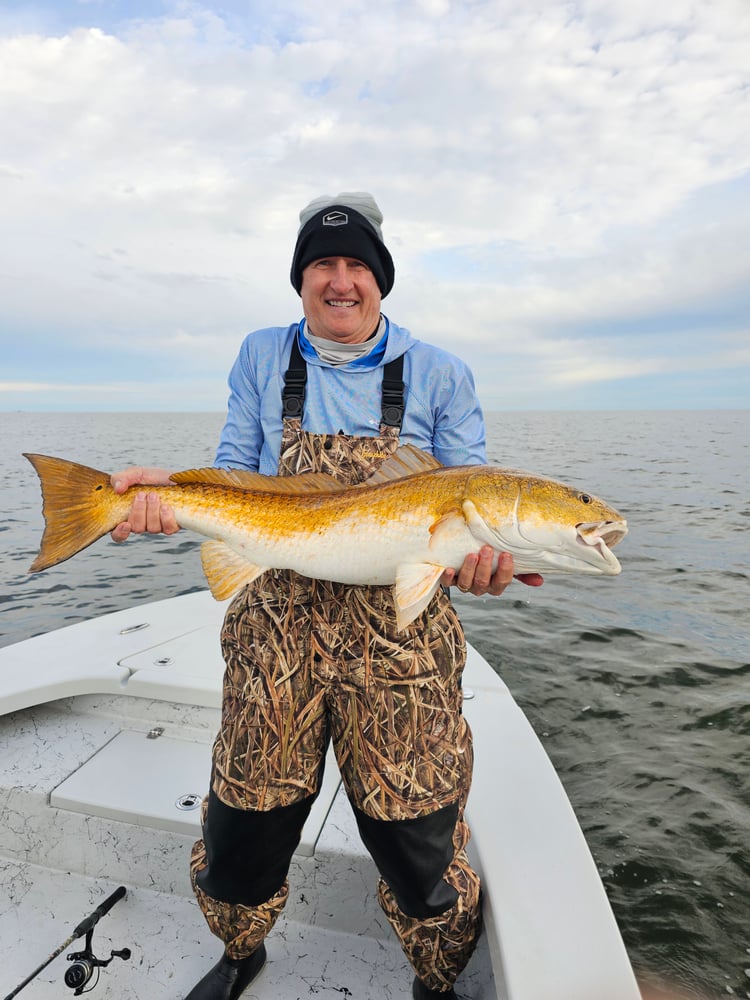 Sight Fishing For Redfish - Fly Or Spin In Saint Bernard