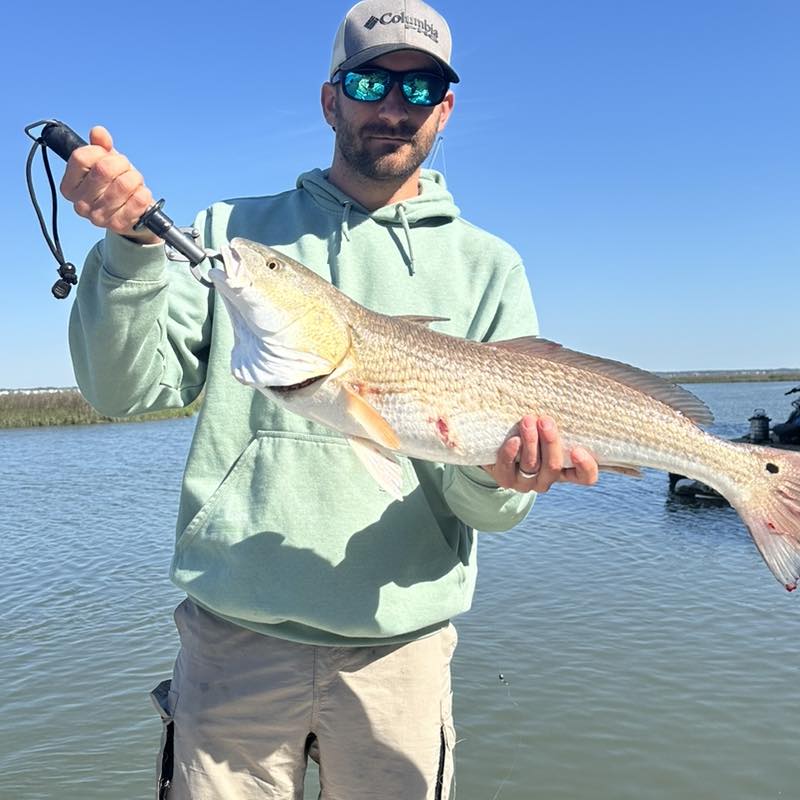 Charleston Inshore Fun! In Mount Pleasant