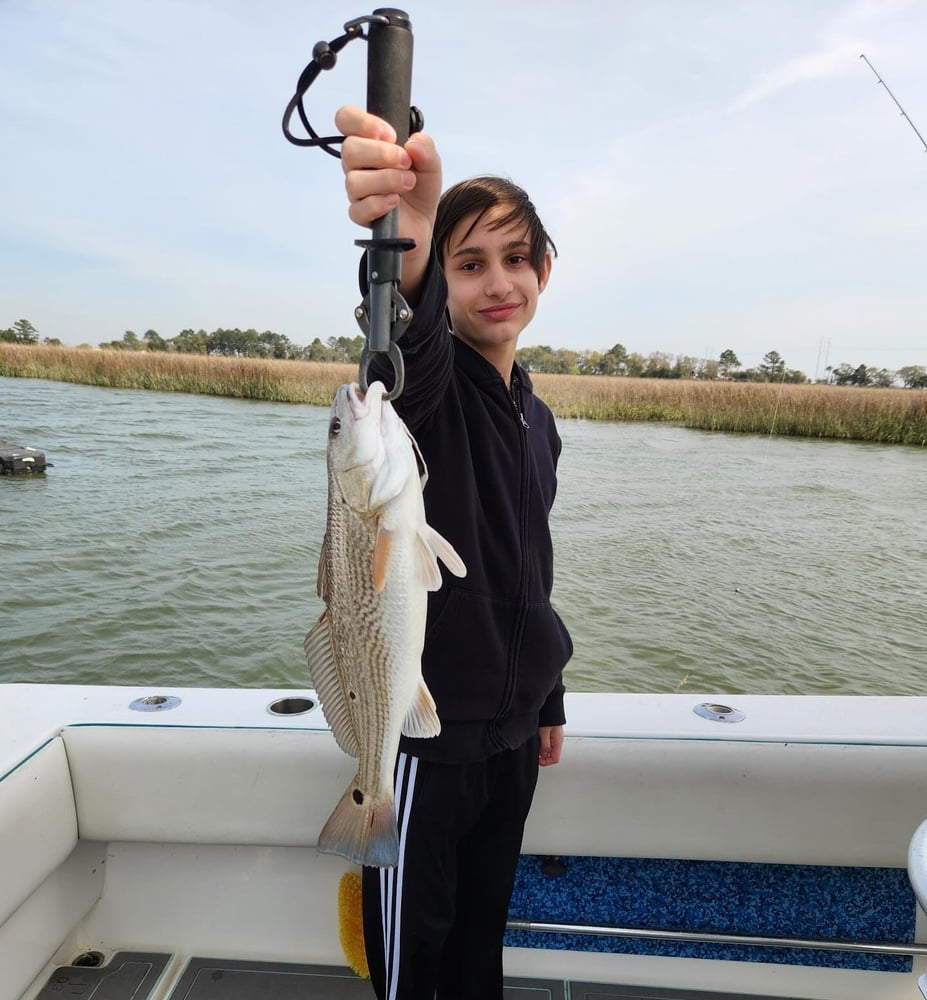 Charleston Inshore Fun! In Mount Pleasant