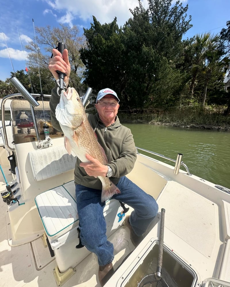 Charleston Inshore Fun! In Mount Pleasant