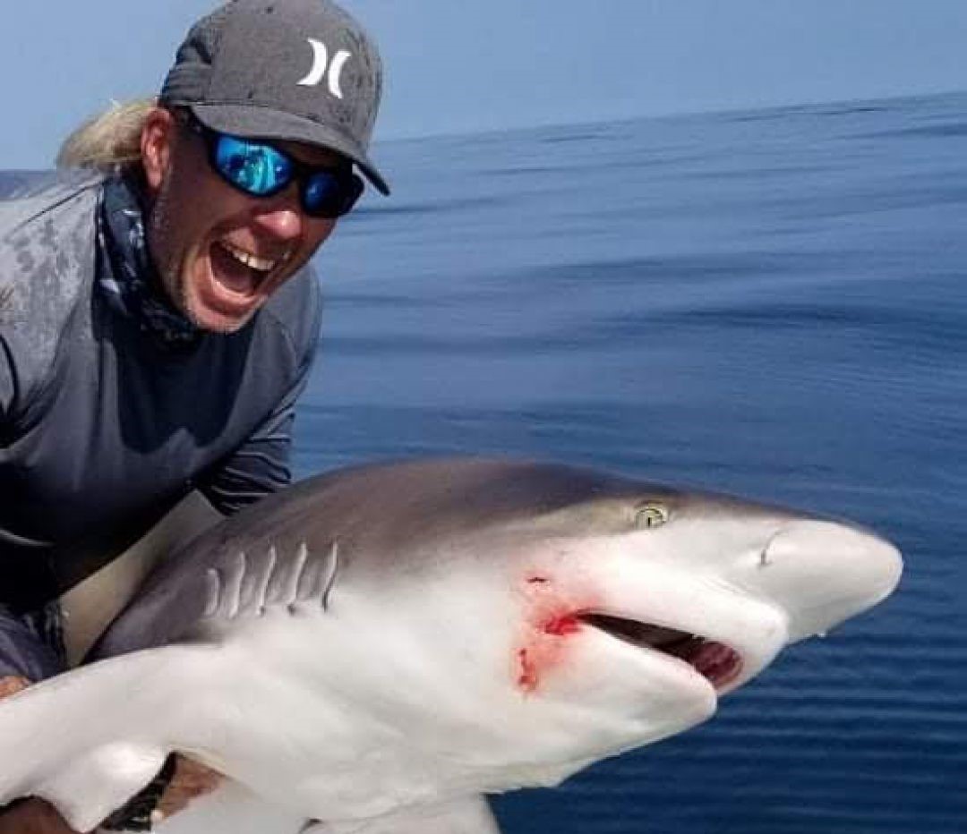 Shark Fishing In New Smyrna Beach