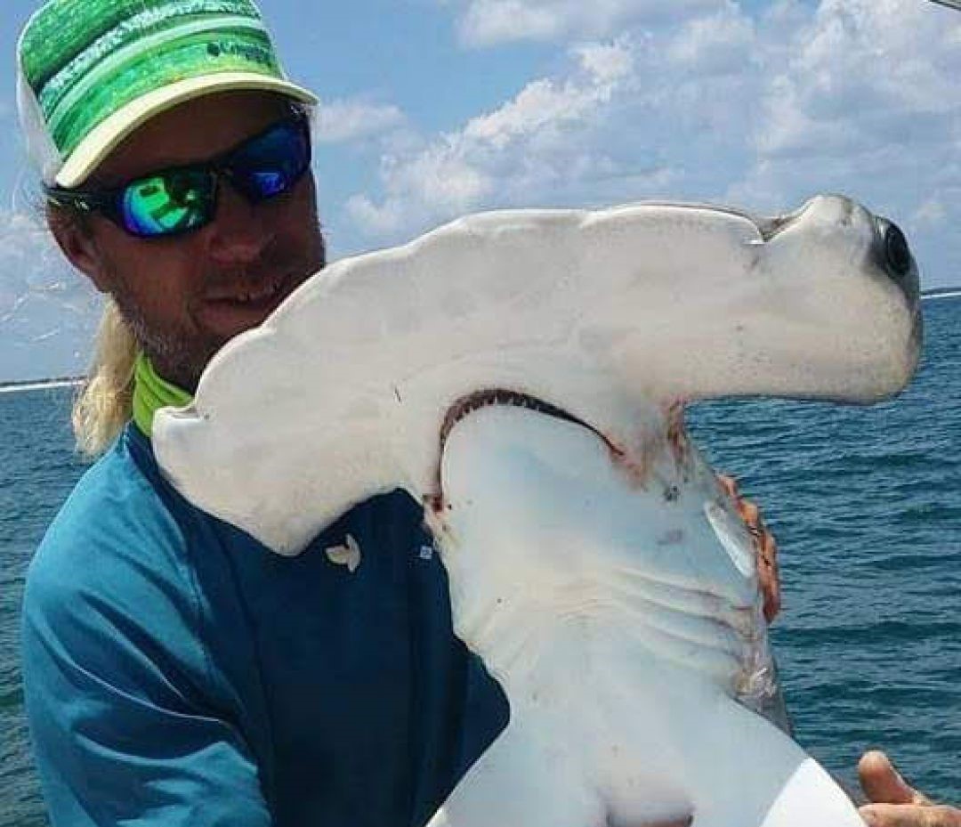 Shark Fishing In New Smyrna Beach