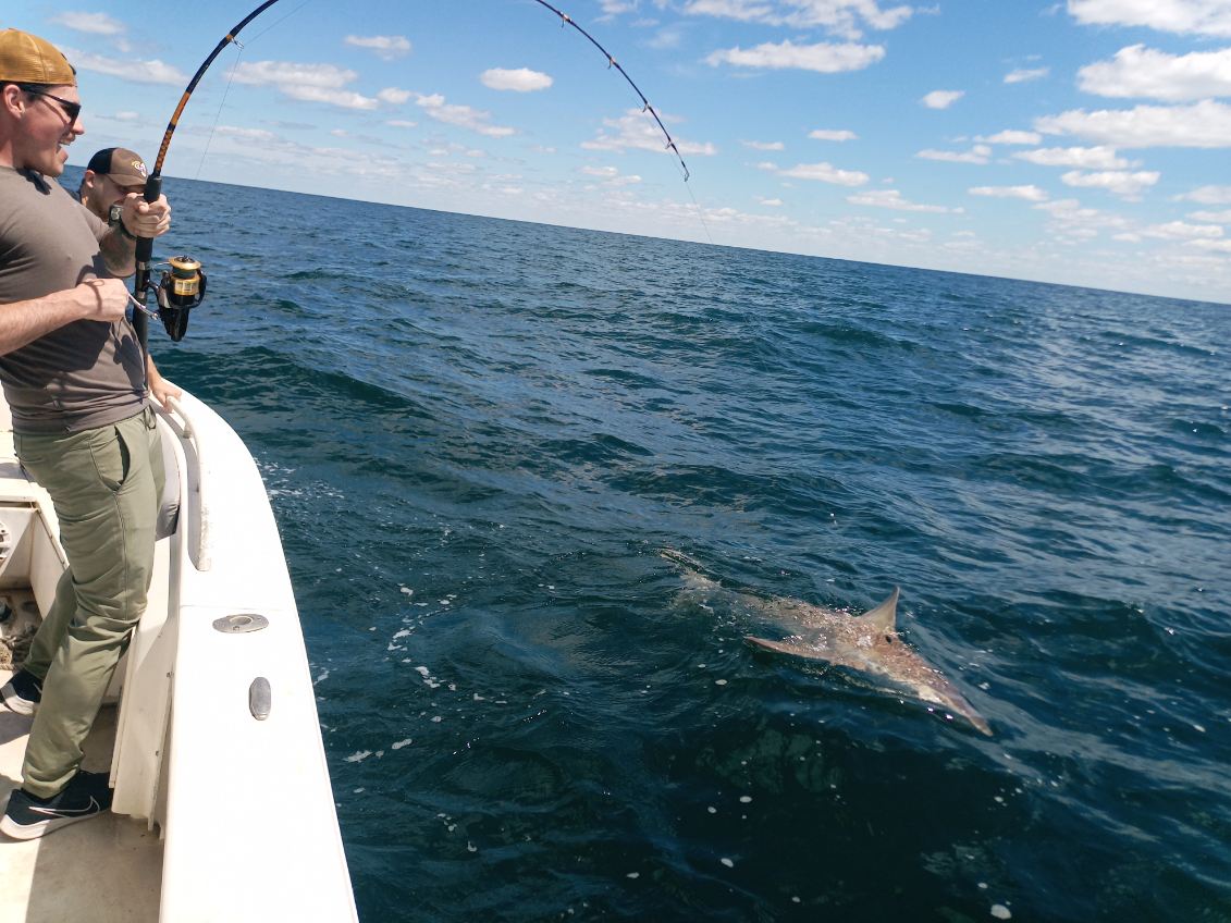 Shark Fishing In New Smyrna Beach