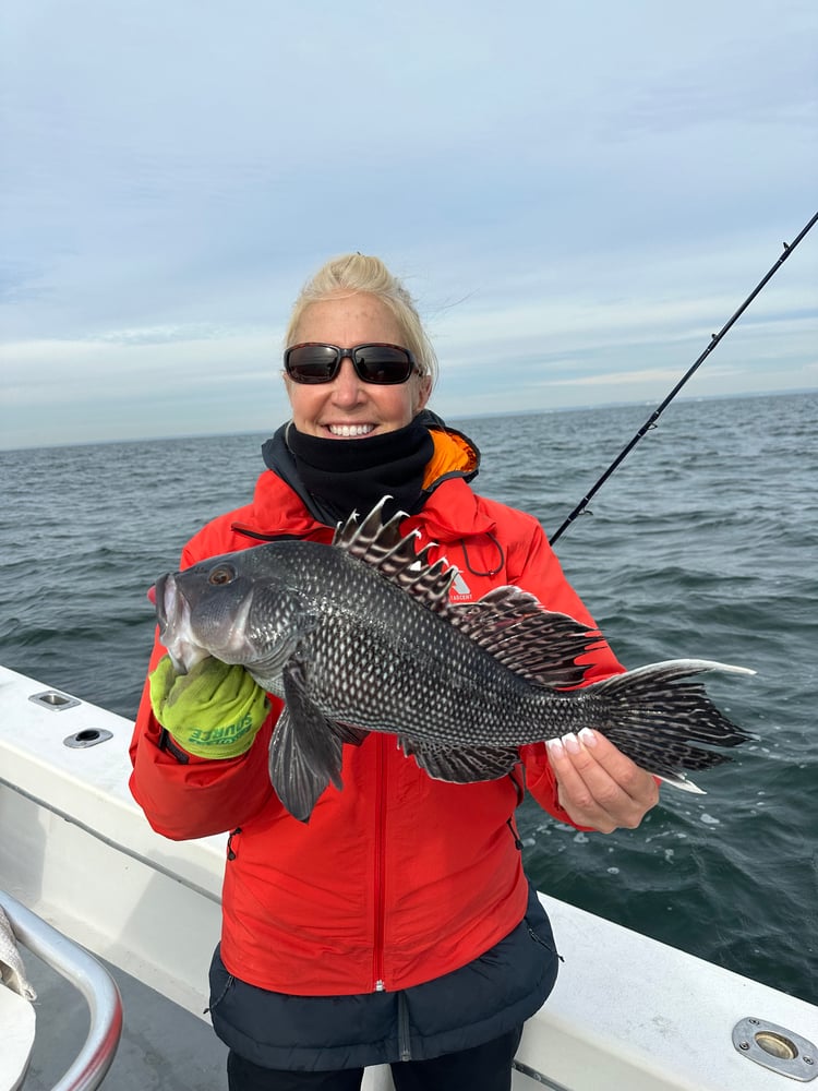 Light Tackle In Port Jefferson