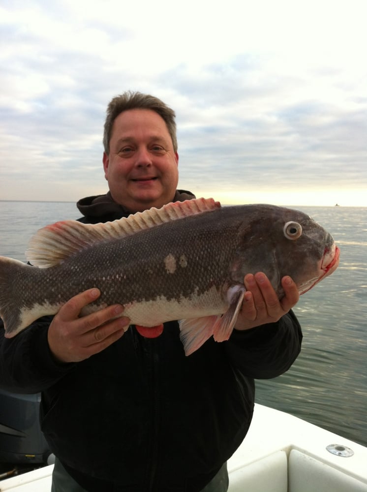 Light Tackle In Port Jefferson