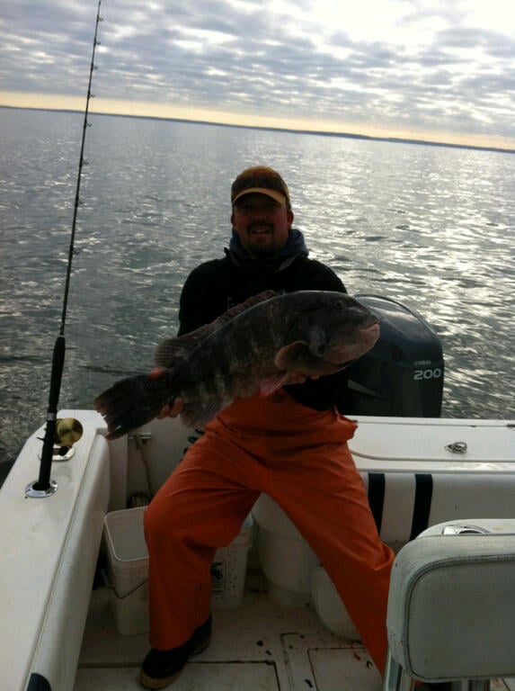 Light Tackle In Port Jefferson