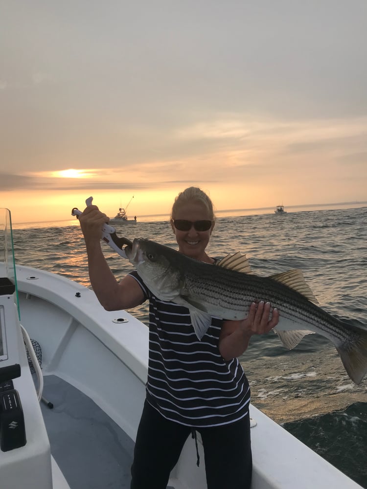 Light Tackle In Port Jefferson