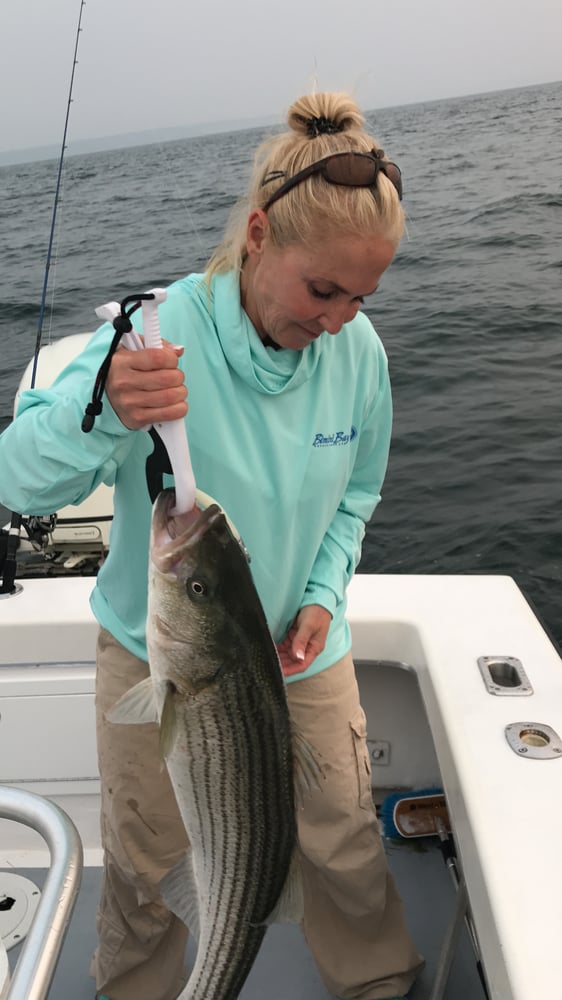 Light Tackle In Port Jefferson